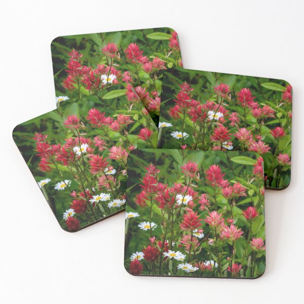 Item preview, Indian Paintbrush and Daisy Photo, Glacier National Park designed and sold by AvocaSpring.