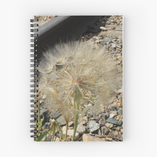 Item preview, Dandelion Flower Seed designed and sold by rhamm.