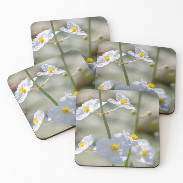 Item preview, White Wildflower  designed and sold by Ollivrosa.