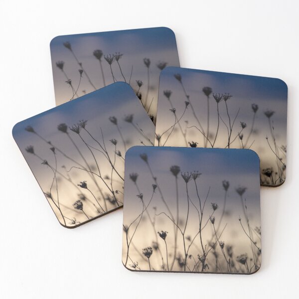 Item preview, Winter Wildflower Remnants, Columbia Gorge, Oregon designed and sold by AvocaSpring.
