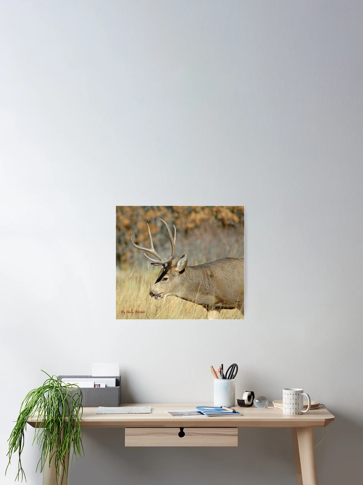 Thumbnail 2 of 3, Poster, Fall Stag designed and sold by Holly Werner.