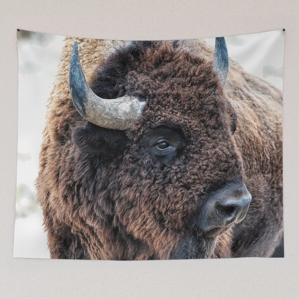 Item preview, In the Presence of Bison in Yellowstone National Park and Arsenal Park, Colorado designed and sold by Rocky Mountain Artistry.