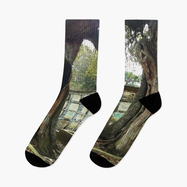 Item preview, Rot Begins from Within designed and sold by Loveday Funck.