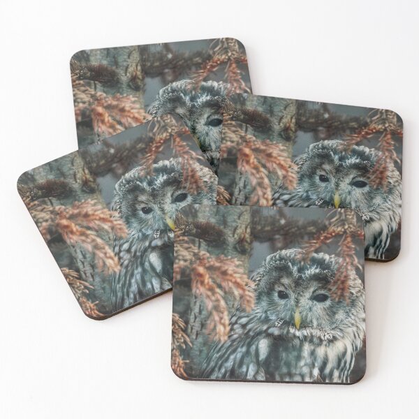 Item preview, Autumnal Owl  designed and sold by clgcreativearts.