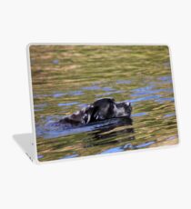 Vinilo para portátil Natación Labrador