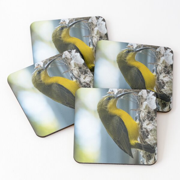 Item preview, Female Olive-backed Sunbird (Cinnyris jugularis) designed and sold by Connie Pinson.