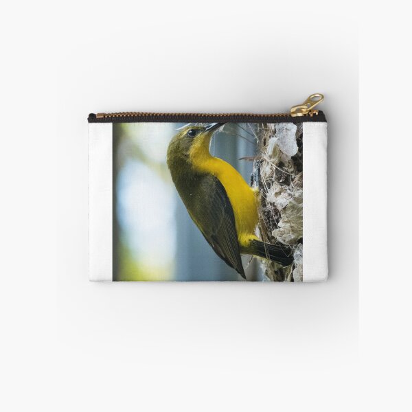 Item preview, Female Olive-backed Sunbird (Cinnyris jugularis) designed and sold by Connie Pinson.