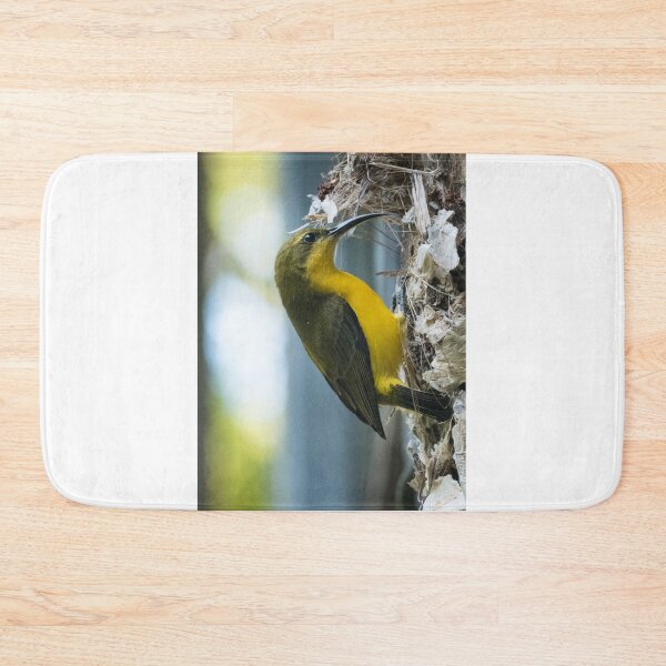 Item preview, Female Olive-backed Sunbird (Cinnyris jugularis) designed and sold by Connie Pinson.