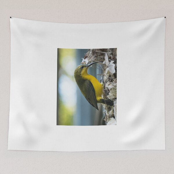 Item preview, Female Olive-backed Sunbird (Cinnyris jugularis) designed and sold by Connie Pinson.