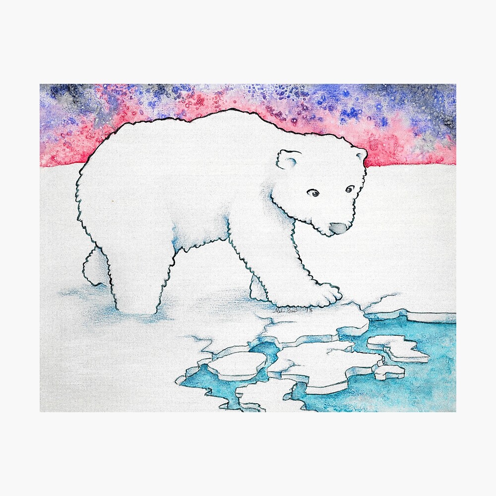 Wie Viel Wiegt Ein Eisbär