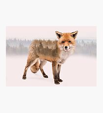 Fox Double Exposure Photographic Print