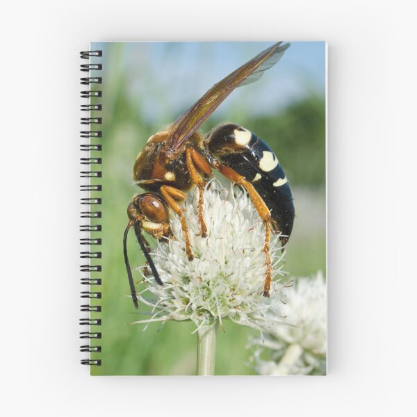 Item preview, Cicada Killer designed and sold by Luhr017.