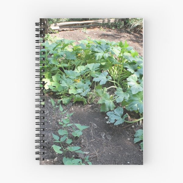 Item preview, Squash Garden designed and sold by Catherine Kerr.