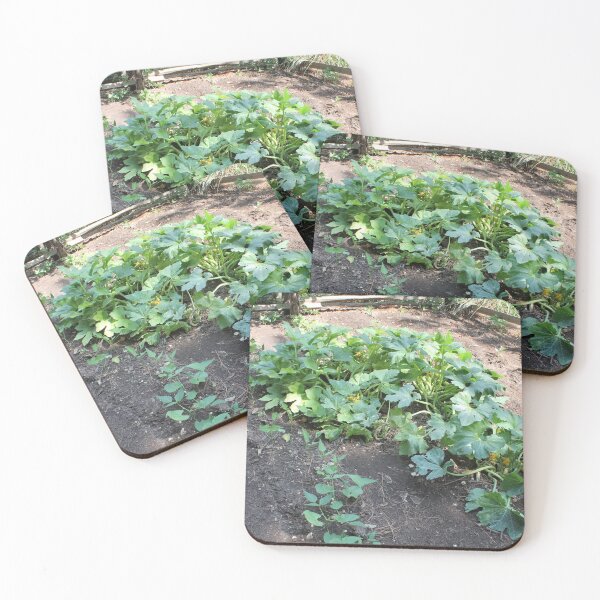 Item preview, Squash Garden designed and sold by Catherine Kerr.
