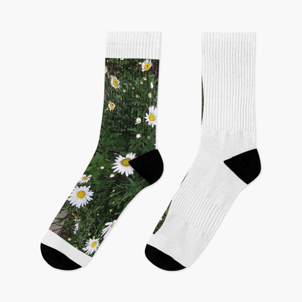 Item preview, Daisy fresh designed and sold by Cherie Hanson.