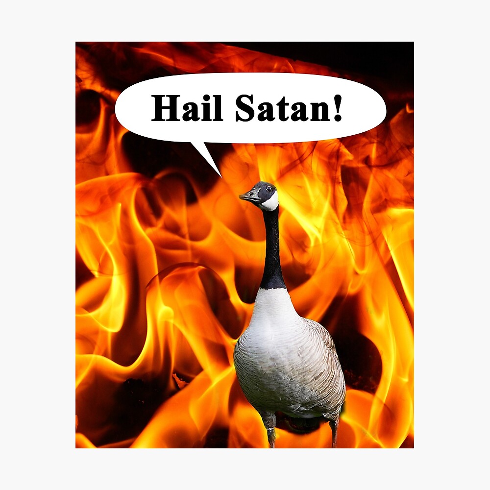 Your goose is cooked, Hail Satan Goose