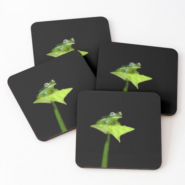 Item preview, Glass Frog designed and sold by mlorenz.