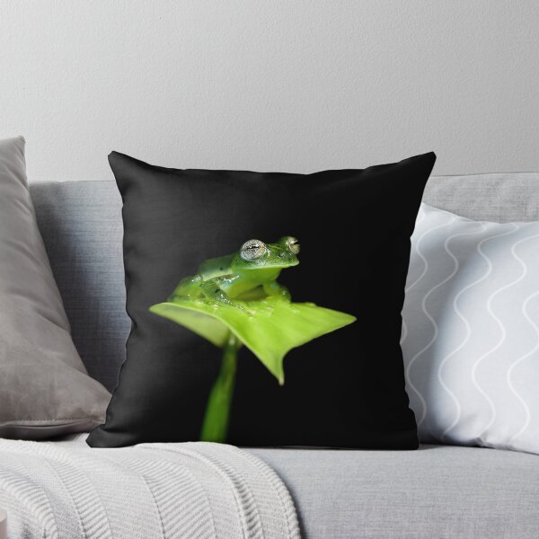 Item preview, Glass Frog designed and sold by mlorenz.