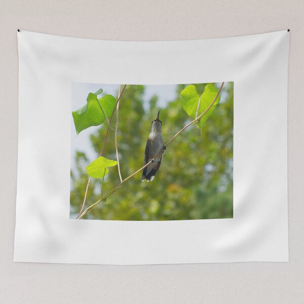 Item preview, Sitting Among the Morning Glories designed and sold by Brenda Burnett.