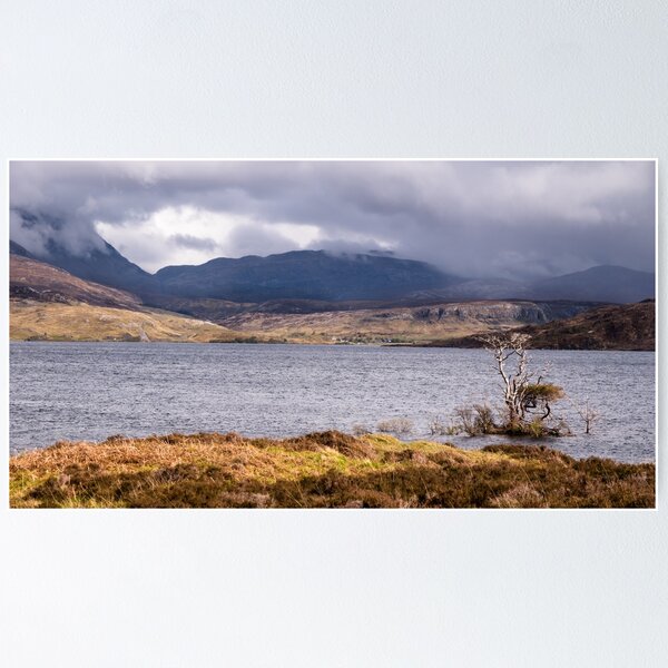 Item preview, Lone tree at Loch Assynt, Assynt, Scotland designed and sold by Cliff Williams.