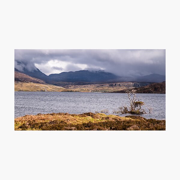 Item preview, Lone tree at Loch Assynt, Assynt, Scotland designed and sold by Cliff Williams.