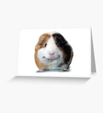 Bleib lächelnd mit Angelo, dem Meerschweinchen! Grußkarte