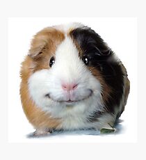 Keep Smiling with Angeelo the Guinea Pig! Photographic Print