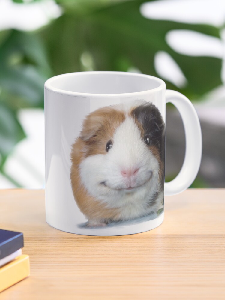 smiling guinea pig