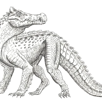 Artwork thumbnail, Kaprosuchus by WhiteThorneGoods