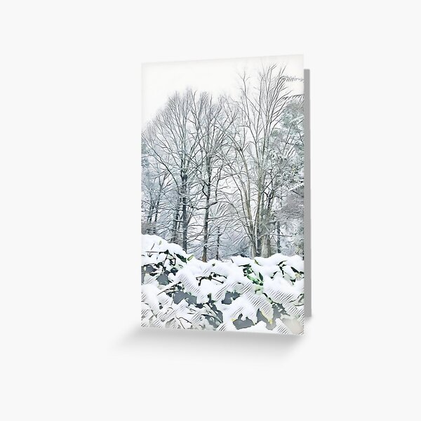 Winter Stillness Greeting Card