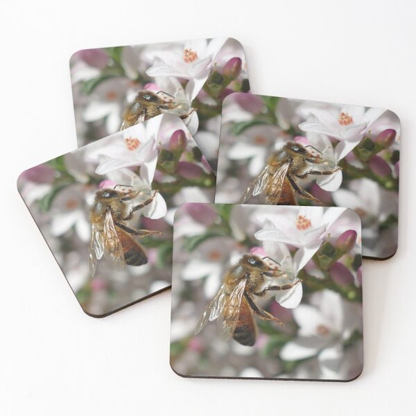 Item preview, Honey bee on a flower. Collecting nectar. Bee set #5 designed and sold by RankAmateur.
