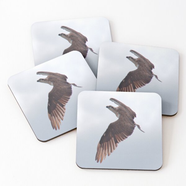 Item preview, SC ~ WO ~ RAPTOR ~ Eastern Osprey 2PQ2CP27 by David Irwin 240919 designed and sold by tasmanianartist.