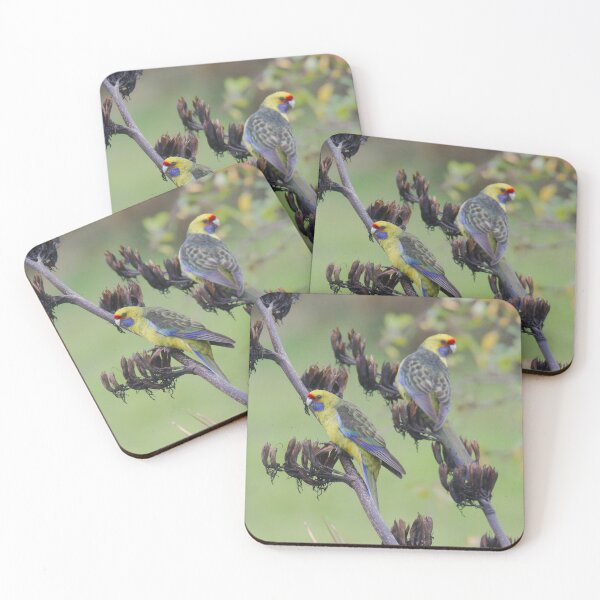 Item preview, PARROT ~ Green Rosella UT38VRCM by David Irwin 240919 designed and sold by tasmanianartist.