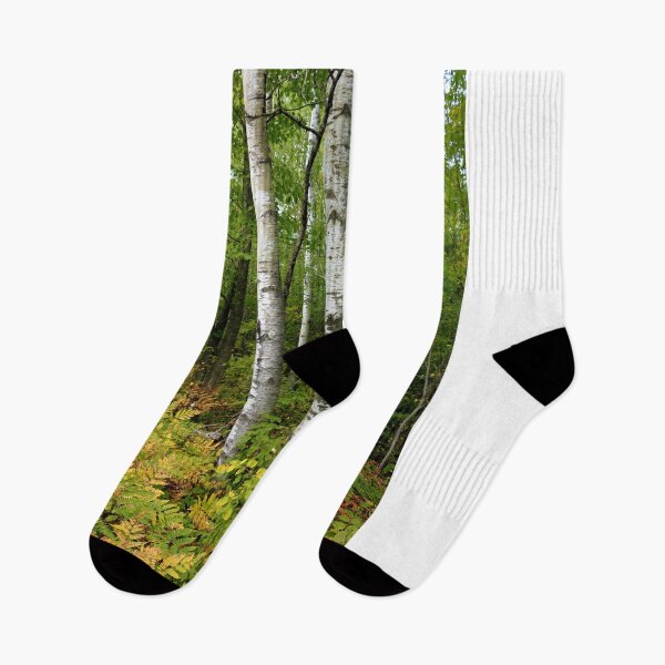 Item preview, Autumn Comes to the North Woods designed and sold by Sun Dog Montana.