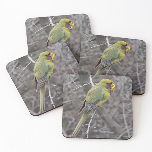 Artikelvorschau, PARROT ~ Green Rosella PsDzxTQe von David Irwin 240919 entworfen und verkauft von tasmanianartist.