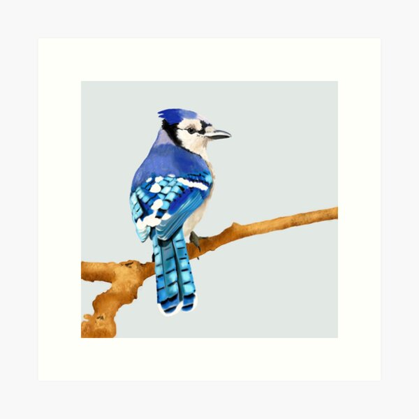 Buy Audubon II Singing Plush Bird - Blue Jay Online With Canadian