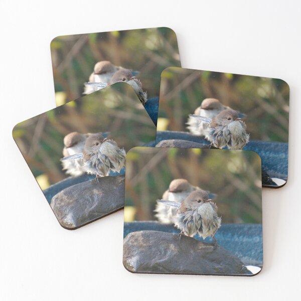 Artikelvorschau, WREN ~ Superb Fairy-wren tpj8BFUy von David Irwin 240919 entworfen und verkauft von tasmanianartist.