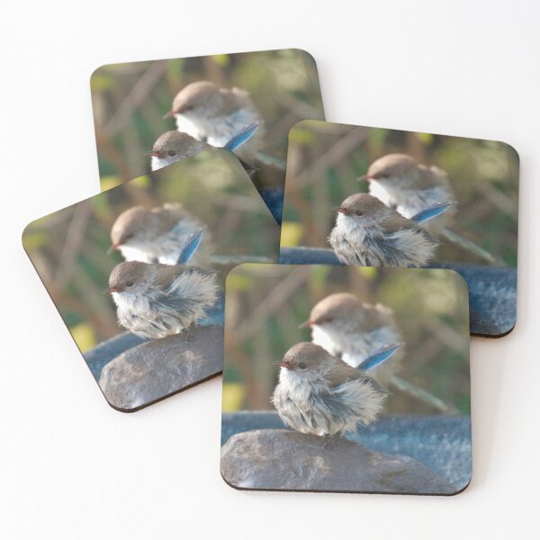 Artikelvorschau, WREN ~ Superb Fairy-wren LiA3z6sF von David Irwin 240919 entworfen und verkauft von tasmanianartist.