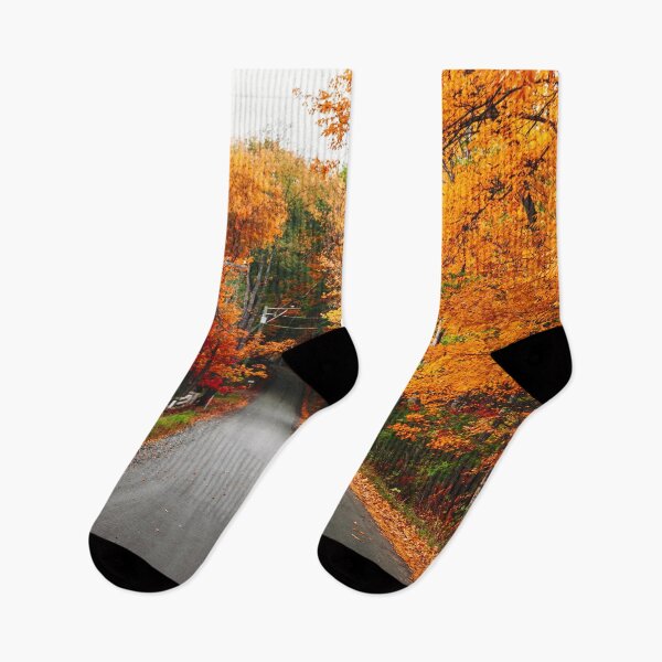 Item preview, autumnal road in new england designed and sold by franckreporter.