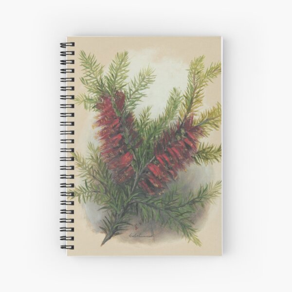 Western Australia wild flower One-sided Bottlebrush- Calothamnus State Library of Western Australia Spiral Notebook