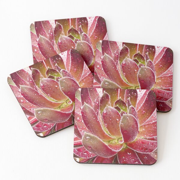 Item preview, Sempervivum Inferno designed and sold by Fran Woods.