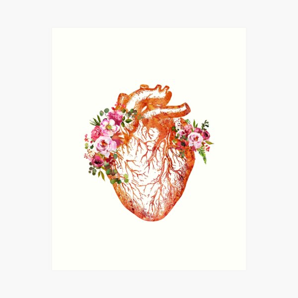Item preview, Heart Anatomy designed and sold by Liededrom..