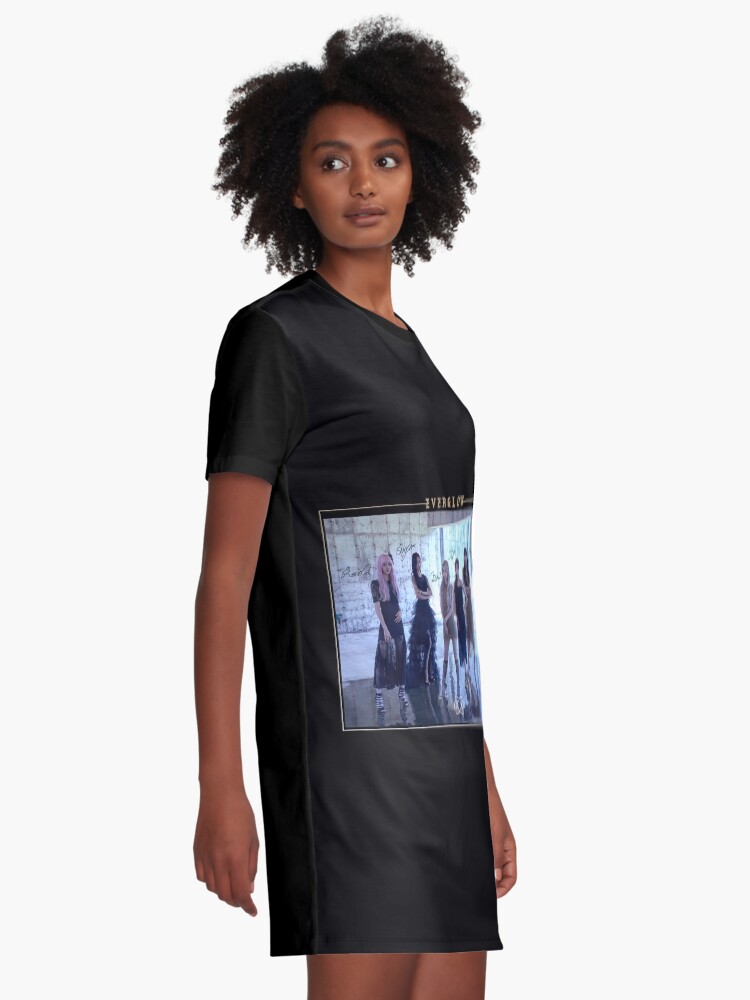 hush t shirt dress