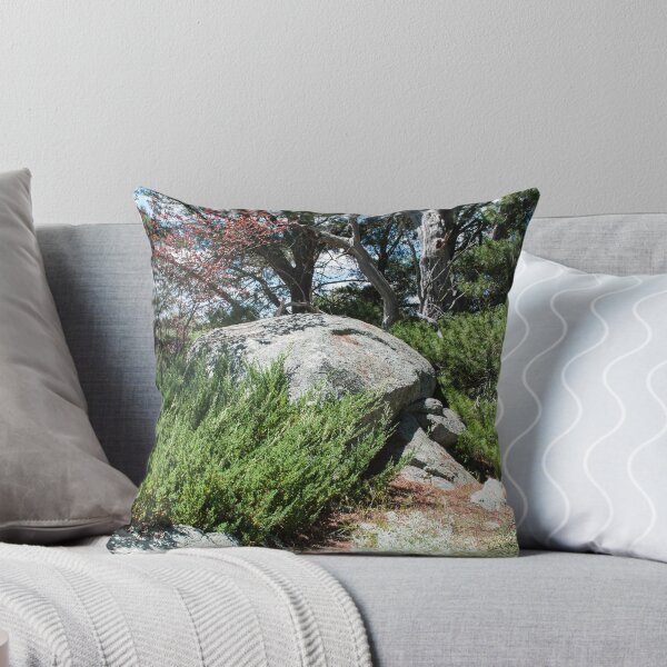 Item preview, Green among the granite designed and sold by Fran Woods.