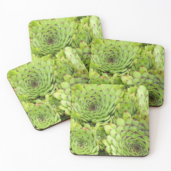 Item preview, Succulent designs designed and sold by Fran Woods.