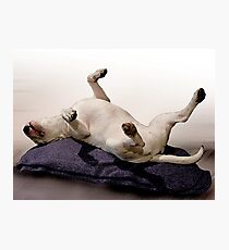 English Bull Terrier Dog, Watercolour Painting Style Art Print Photographic Print