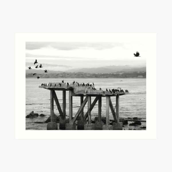 sanctuary Art Print