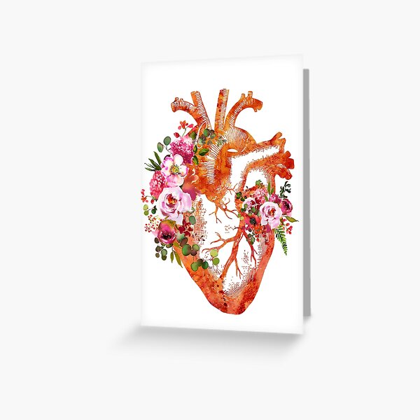 Anatomical Heart Greeting Cards for Sale