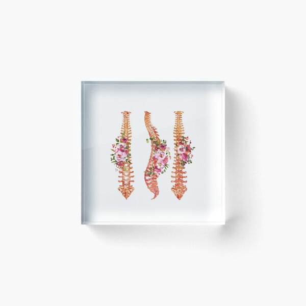 Item preview, Human Spine designed and sold by Liededrom..