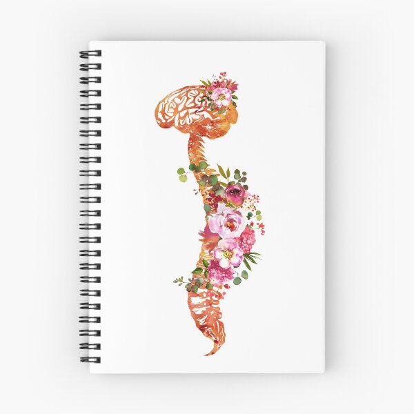 Item preview, Human Spine with Brain designed and sold by Liededrom..